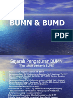 Bumn Dan Bumd PDF