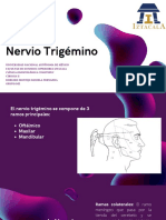 Nervio Trigémino