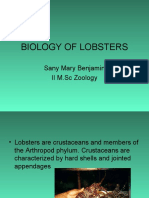 Biology of Lobsters: Sany Mary Benjamin II M.SC Zoology