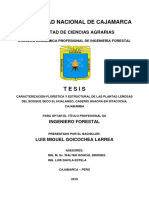 Tesis - Luis Miguel Goicochea Larrea PDF