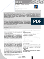 Pie Plano PDF