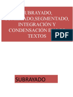 Subrayado, Sumillado, Segmentado, Integración y Condensación en