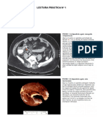 lectura practica 1.pdf