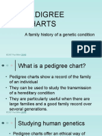 Making A Pedigree Chart