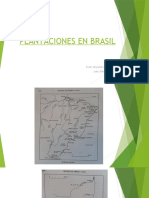 Plantaciones en Brasil