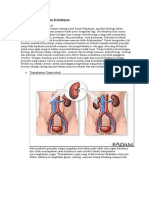 S.1 Biologi Peranan+Biologi+dalam+Kehidupan