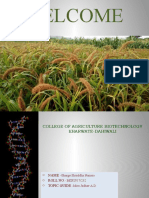 Analysis of Genetic Variability Among Finger Millet Germplasm by Using Issr Markers