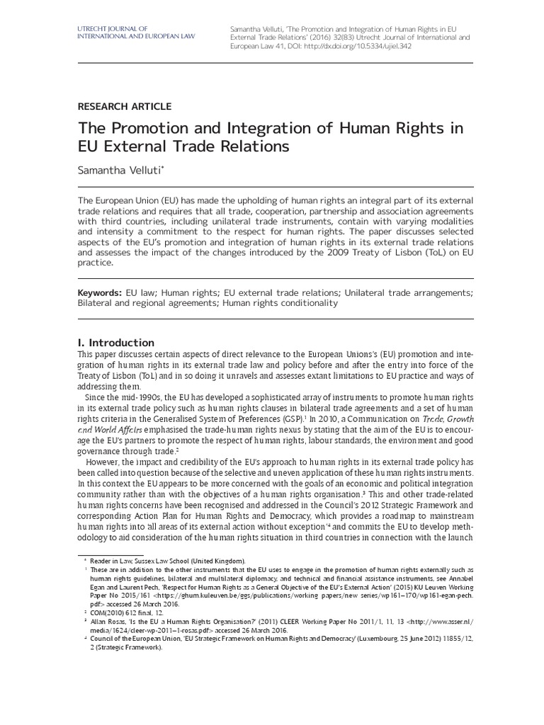 The Promotion and Integration of Human Rights in E | PDF | European ...