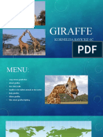 Giraffe: Kornelija Savickė 6C