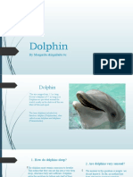 Dolphin: by Margarita Skirgailaite 6c