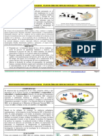 Plan de Área de Ciencias Sociales