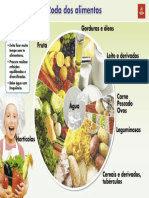 ekem217_roda_alimentos.pdf