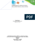 Fase 1 - Conocer La Estructura de La Célula Vegetal, 1 Darwin Castillo