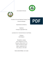 Informe #6 Fisiología Vegetal