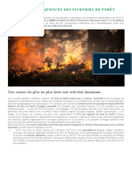 Causes Et Conséquences Des Incendies de Forêt