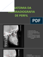 Anatomia Teleperfil