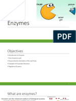 Enzymes 13