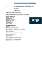 Programa Frances 6to Año PDF