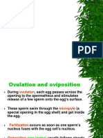 Ovulation to Egg Hatching: Insect Reproduction Process