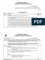 Plan de Lucru La Domiciliu Echipa CZSFM Situatie Urgenta CoVid PDF