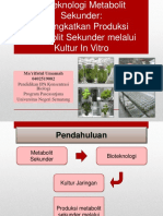 Ma'rifatul Umamah 0402519002: Pendidikan IPA Konsentrasi Biologi Program Pascasarjana Universitas Negeri Semarang