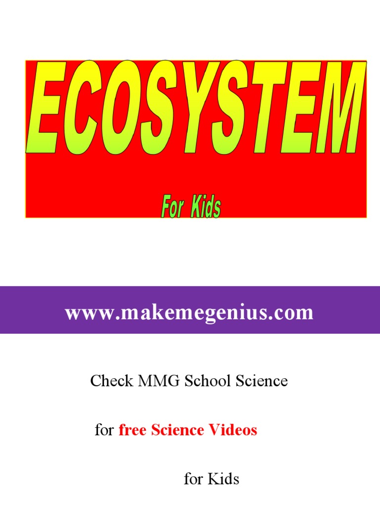 ECOSYSTEM For Kids | PDF | Ecosystem | Conservation Biology