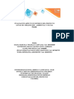 Anexo 1 - Plantilla Excel - Evaluación Proyectos