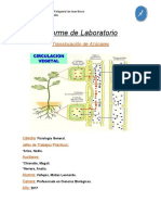 Laboratorio 4