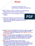 Riso PDF