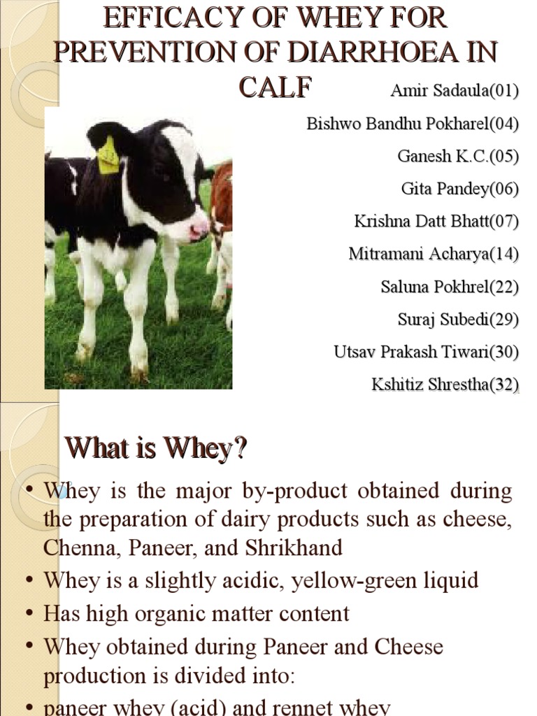 Use of Whey in Controlling Calf Diarrhoea PDF Diarrhea Bacteria