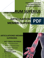 Membrum Superius-Zglobovi