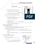 IBDP Biology HL/SL Notes: Translocation in The Phloem