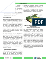 z1 Páginas Desdepresas Subálveas (2da Ed.) SAGARPA