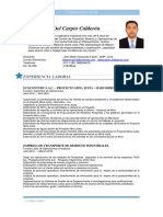 CV Del Carpio diego rev 005.pdf