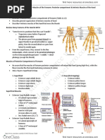 Hand and Wrist