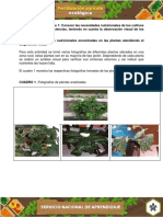 Evidencia Registro Fotografico PDF