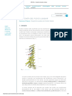 ARYDOL - Anatomía Del Plexo Lumbar PDF