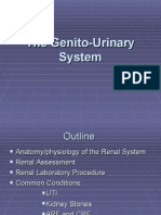 Nursing Genito-Urinary System