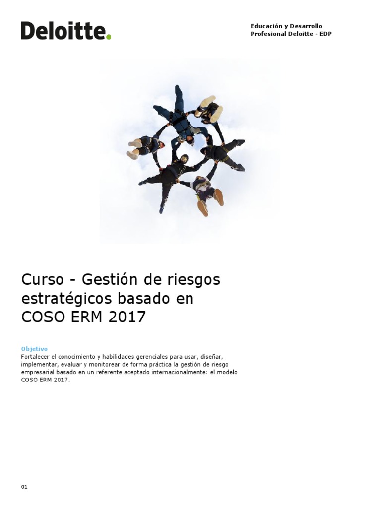 Curso Gestión de Riesgos Estratégicos Basado en COSO ERM 2017 | PDF ...