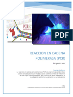 TRABAJO DE PCR COMPLETO
