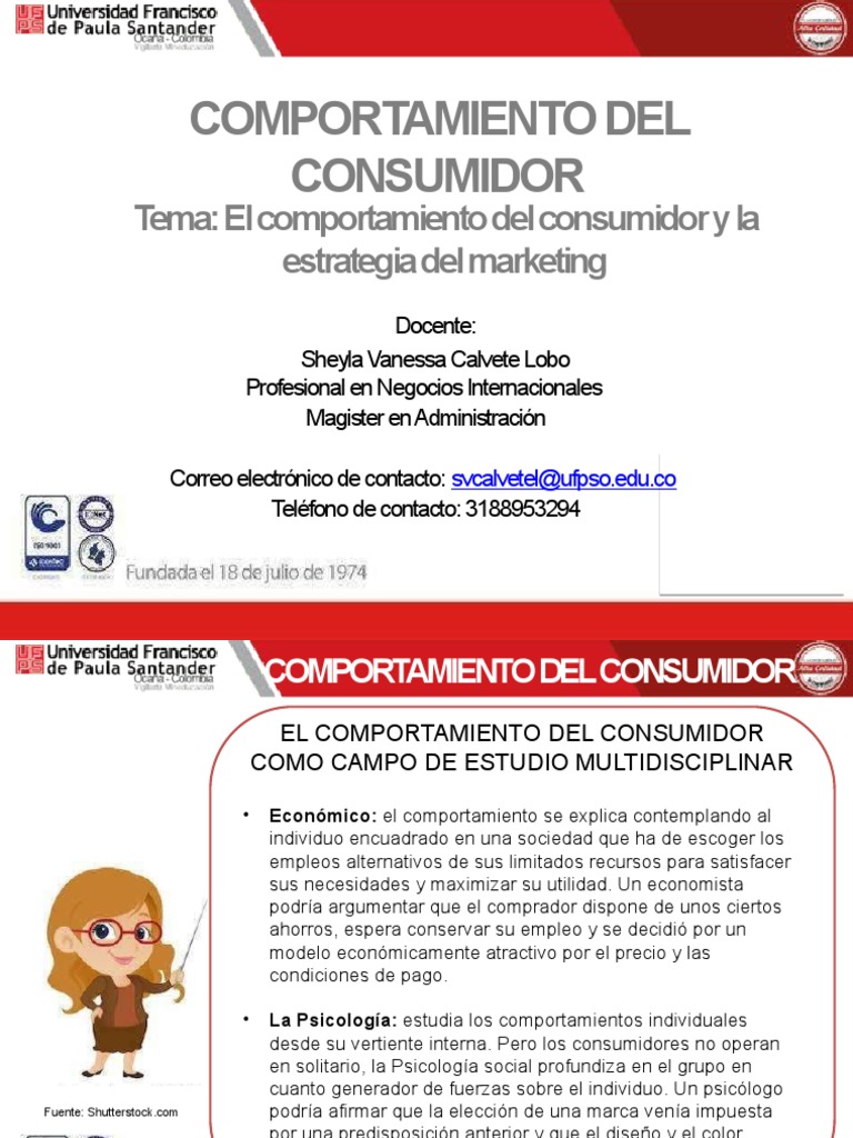 Comportamiento del Consumidor y Marketing | PDF | Comportamiento del ...