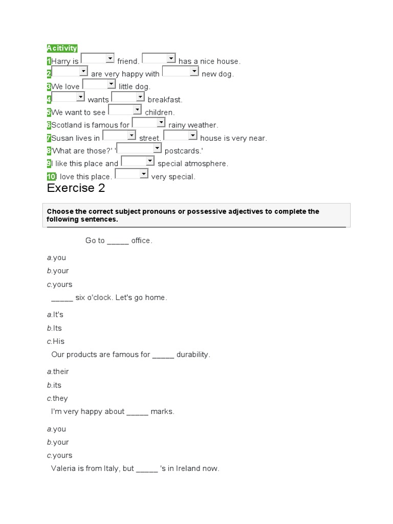 Possessive Adjectives Practice Exercises | PDF