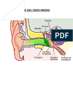 001-Anatomia Del Oido Medio