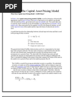 What Does Capital Asset Pricing Model - CAPM Mean?