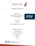 Clip - Experimento Psicofisiologia PDF