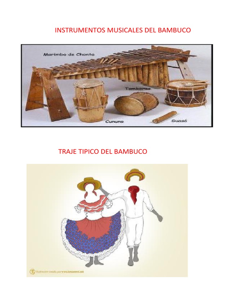 Instrumentos Musicales Del Bambuco | PDF