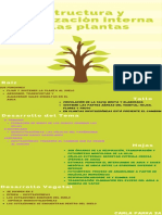 Plantación de Árboles Infografía