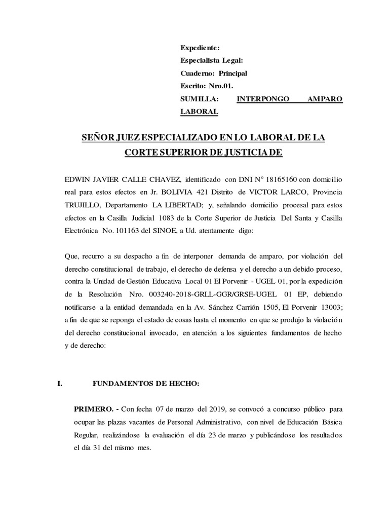 Modelo de DEMANDA DE AMPARO LABORAL | PDF | Debido al proceso | Demanda ...
