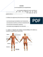 SISTEMAnMUSCULARnSENA 845ebee0f4bb9a4