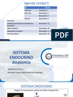 SISTEMA ENDOCRINO_ANATOMIA_2_2020.pdf